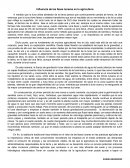 Influencia de las fases lunares en la agricultura