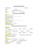 HISTORIA CLINICA PERINATAL