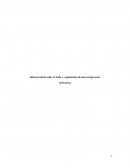 Informe inicial sobre el Foda y seguimiento de microempresario