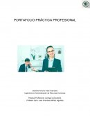 PORTAFOLIO PRÁCTICA PROFESIONAL