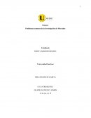 DISEÑO DE PROGRAMA DE MARKETING