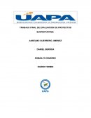 Hamburguesas veganas