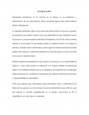 JUSTIFICACION procesos de la empresa