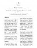 Respiración aeróbica. Observación y cuantificación de producción de CO2 en animales y vegetales