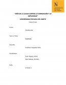 Distribución de Sodimac