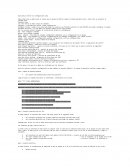 Guía básica versión 2.0 configuración junos