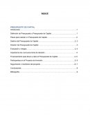 PRESUPUESTO DE CAPITAL