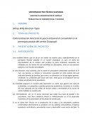 Proyecto Economia popular y solidaria