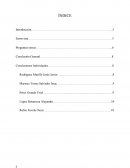 Entrevista a un ingeniero