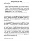 BASES PARA MANUAL WORD - EXCEL