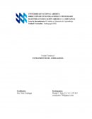 Fundamentos de Andragogía