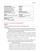 Actividad 12. ¿Cómo funciona la retroinformación?