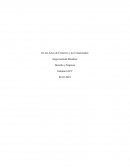 De los Actos de Comercio y los Comerciantes