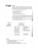 Que puede aprender una empresa de la fusión con otras empresas?