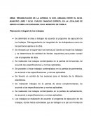 PLANEACION INTEGRAL OBRA: REHABILITACIÓN DE LA AVENIDA 14 SUR