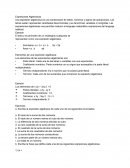 Expresiones Algebraicas
