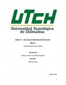 ENSAYO ´´ ANALISIS DE MEJORA DE BOVICUB´´