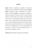 INFORME FINAL DE GESTANTES CON ANEMIA