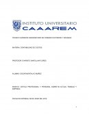 CRITICA PROFESIONAL Y PERSONAL SOBRE MI ACTUAL TRABAJO Y EMPRESA