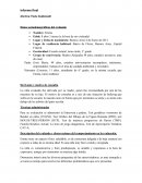 Informe psicologico tecnicas