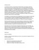 Los Sistemas de Archivo y Comunicación de Imagen (PACS)