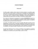 PLAN DE TRABAJO SAN MARTIN S.A. de C.V.