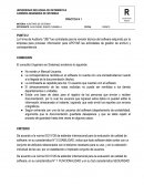 AUDITORIA DE SISTEMAS