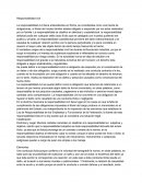 Ensayo Responsabilidad Civil