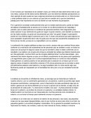 La belleza se ve o se siente