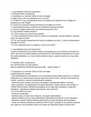 ¿Qué significa trauma del nacimiento?