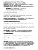 Practicas profesionalizantes