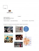 Administración de Empresas . Biocombustible