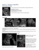 Clase 5 – Técnica ecográfica