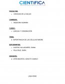 IMPORTANCIA DE LAS CÉLULAS MADRE