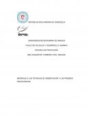 Abordaje a las técnicas de observación y las pruebas psicológicas