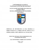 Propuesta de metodología 5S para mejorar la productividad en el área de producción de cerveza en la empresa Sierra Andina, Huaraz 2018