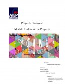 Proyecto Comercial Modulo Evaluación de Proyecto , empresa Young backpacks