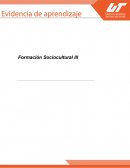 Formación Sociocultural III