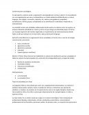 Conformaciones sociológicas