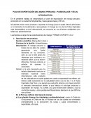 PLAN DE EXPORTACIÓN DEL MANGO PERUANO – PAISES BAJOS Y EE.UU