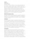 Historia socio economica