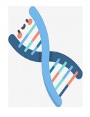 Genes dominantes y recesivos