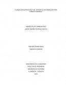 PLANEACIÓN ESTRATEGICA DEL SISTEMA DE INFORMACIÓN PARA CONDU-FLORENCIA.