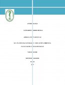 FINALIDAD EDUCATIVA DE LAS CIENCIAS NATURALES