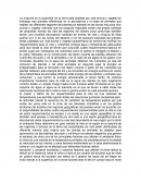 Ensayo vida animal y vegetal
