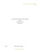 FUNDAMENTOS DE PREVENCIÓN DE RIESGOS