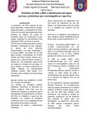 Aislamiento de DNA
