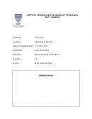 Análisis manual descriptivo de cargo