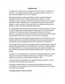 Sistema esquelético
