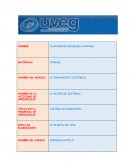 SISTEMA DE CORRUPCIÓN en la empresa Delicioso